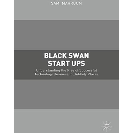 Black Swan Start-ups: Understanding the Rise of Successful Technology Business i [Hardcover]