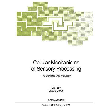 Cellular Mechanisms of Sensory Processing: The Somatosensory System [Paperback]