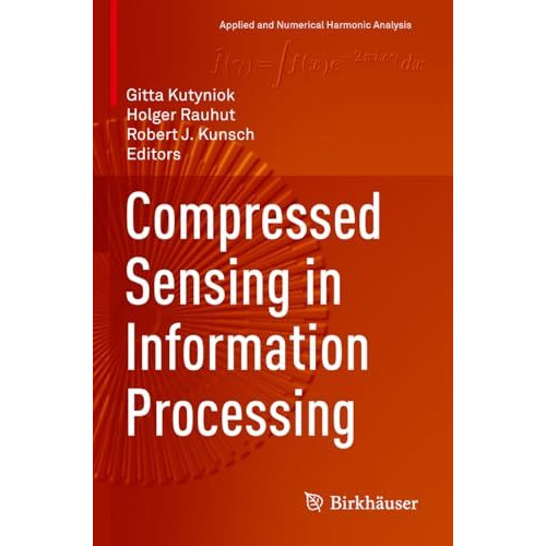 Compressed Sensing in Information Processing [Paperback]