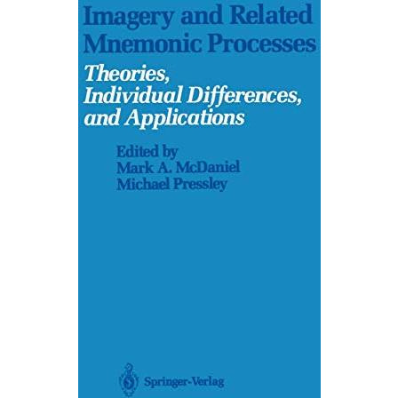 Imagery and Related Mnemonic Processes: Theories, Individual Differences, and Ap [Paperback]