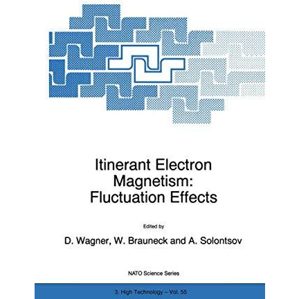 Itinerant Electron Magnetism: Fluctuation Effects [Hardcover]