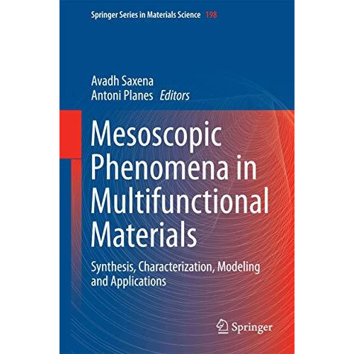 Mesoscopic Phenomena in Multifunctional Materials: Synthesis, Characterization,  [Hardcover]