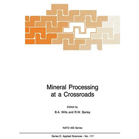 Mineral Processing at a Crossroads: Problems and Prospects [Paperback]