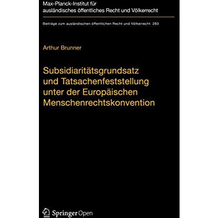 Subsidiarit?tsgrundsatz und Tatsachenfeststellung unter der Europ?ischen Mensche [Hardcover]