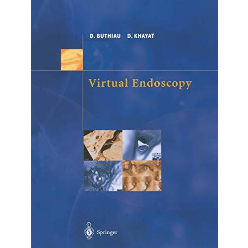 Virtual Endoscopy [Paperback]