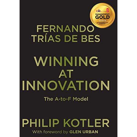 Winning At Innovation: The A-to-F Model [Paperback]