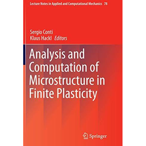 Analysis and Computation of Microstructure in Finite Plasticity [Paperback]