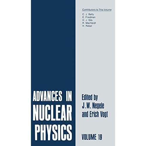 Advances in Nuclear Physics: Volume 19 [Paperback]