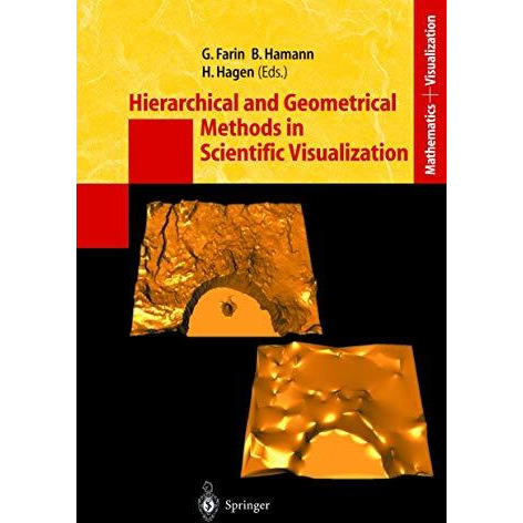 Hierarchical and Geometrical Methods in Scientific Visualization [Paperback]