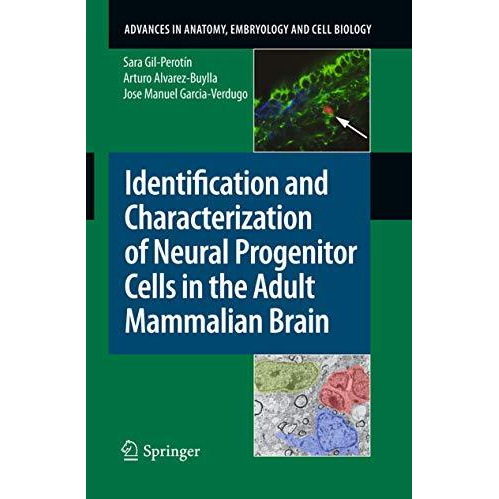 Identification and Characterization of Neural Progenitor Cells in the Adult Mamm [Paperback]