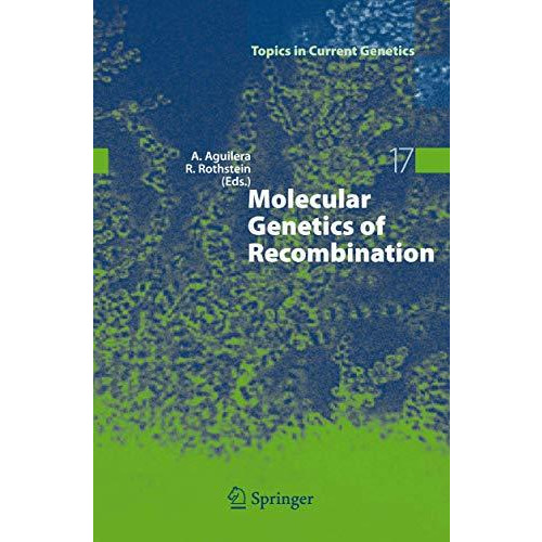 Molecular Genetics of Recombination [Hardcover]