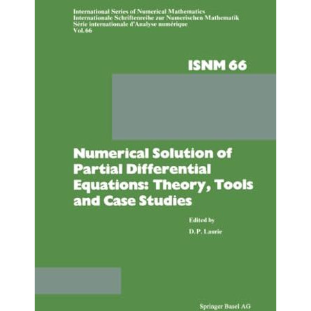 Numerical Solution of Partial Differential Equations: Theory, Tools and Case Stu [Paperback]