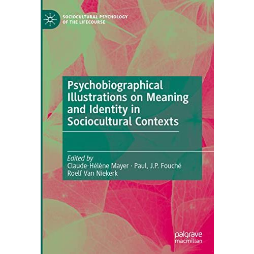 Psychobiographical Illustrations on Meaning and Identity in Sociocultural Contex [Hardcover]