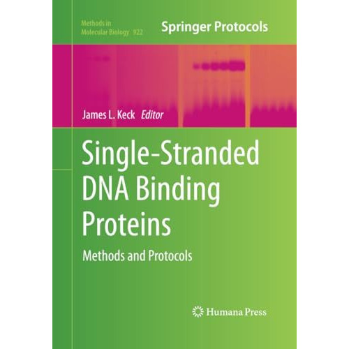 Single-Stranded DNA Binding Proteins: Methods and Protocols [Paperback]