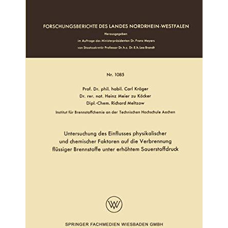 Untersuchung des Einflusses physikalischer und chemischer Faktoren auf die Verbr [Paperback]