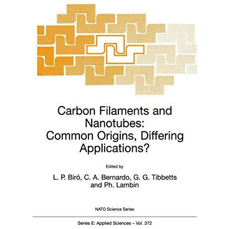 Carbon Filaments and Nanotubes: Common Origins, Differing Applications? [Paperback]