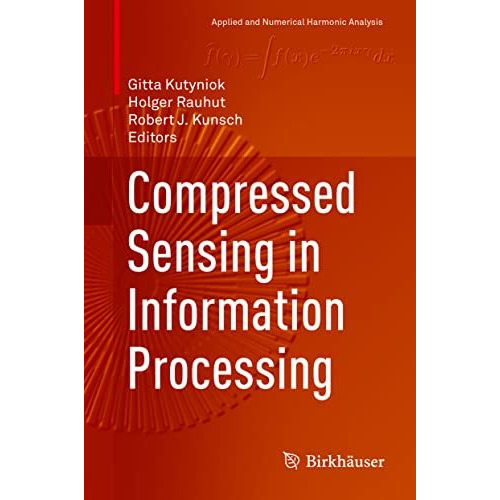 Compressed Sensing in Information Processing [Hardcover]