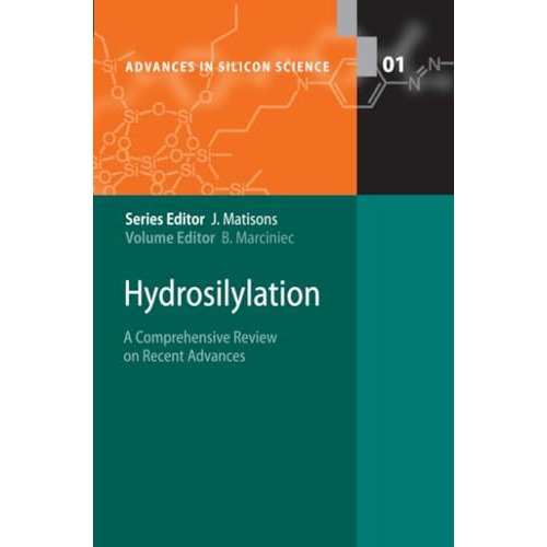 Hydrosilylation: A Comprehensive Review on Recent Advances [Paperback]