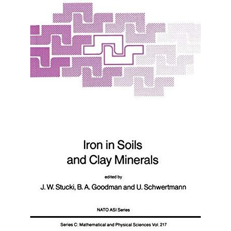 Iron in Soils and Clay Minerals [Paperback]