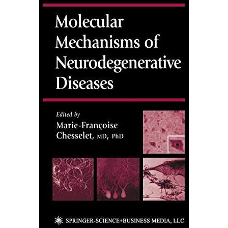 Molecular Mechanisms of Neurodegenerative Diseases [Paperback]