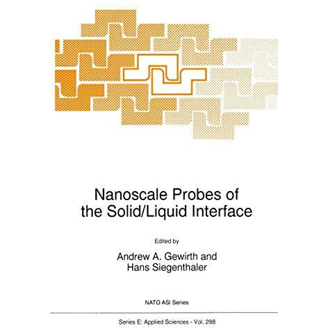 Nanoscale Probes of the Solid/Liquid Interface [Paperback]