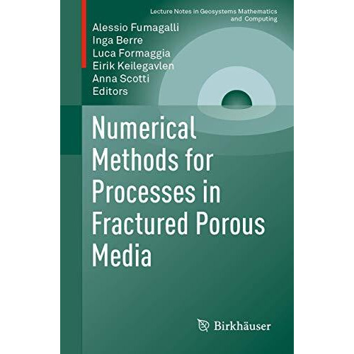 Numerical Methods for Processes in Fractured Porous Media [Paperback]