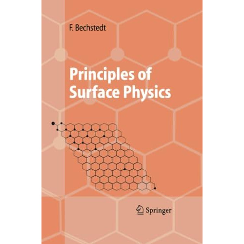 Principles of Surface Physics [Paperback]