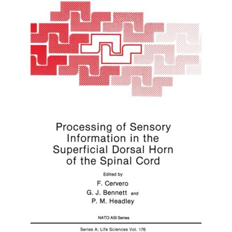 Processing of Sensory Information in the Superficial Dorsal Horn of the Spinal C [Paperback]