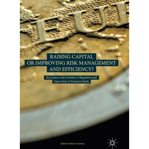 Raising Capital or Improving Risk Management and Efficiency?: Key Issues in the  [Paperback]