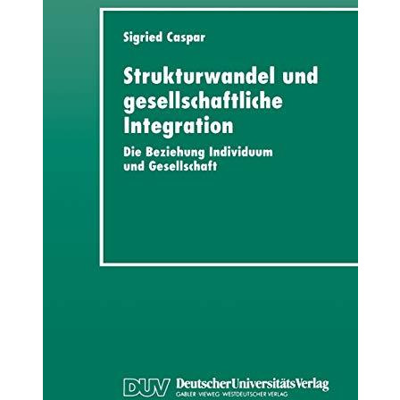 Strukturwandel und gesellschaftliche Integration: Die Beziehung Individuum und G [Paperback]