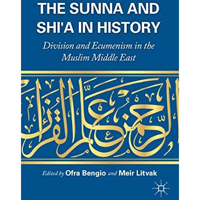 The Sunna and Shi'a in History: Division and Ecumenism in the Muslim Middle East [Paperback]