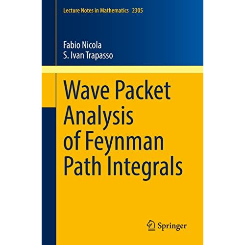 Wave Packet Analysis of Feynman Path Integrals [Paperback]