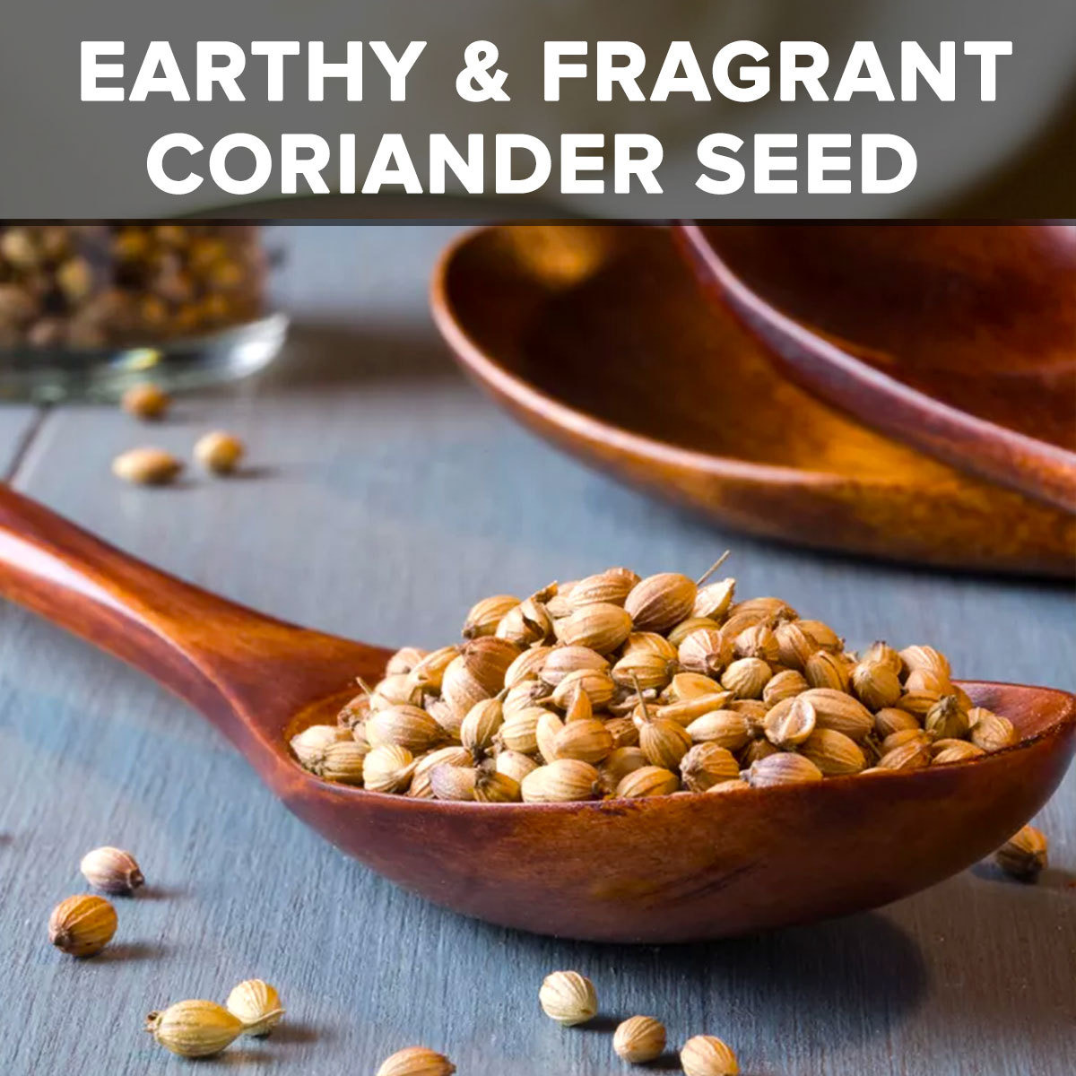 El The Cook Coriander Seeds | Lab Tested for Purity | Resealable Bag, Non-GMO Verified Project Approved, 100% Raw from India | 3.5 oz (100g) (Flavor: Coriander Seed)