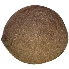 Nirav Dry Coconut (Whole) -  1 pc (1 pc)