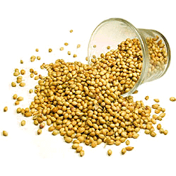 Nirav Coriander Seeds (Dhania) - 14 oz (14 oz bag)