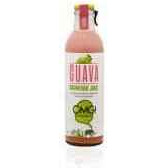 Guava Sugarcane Juice - 250 Ml