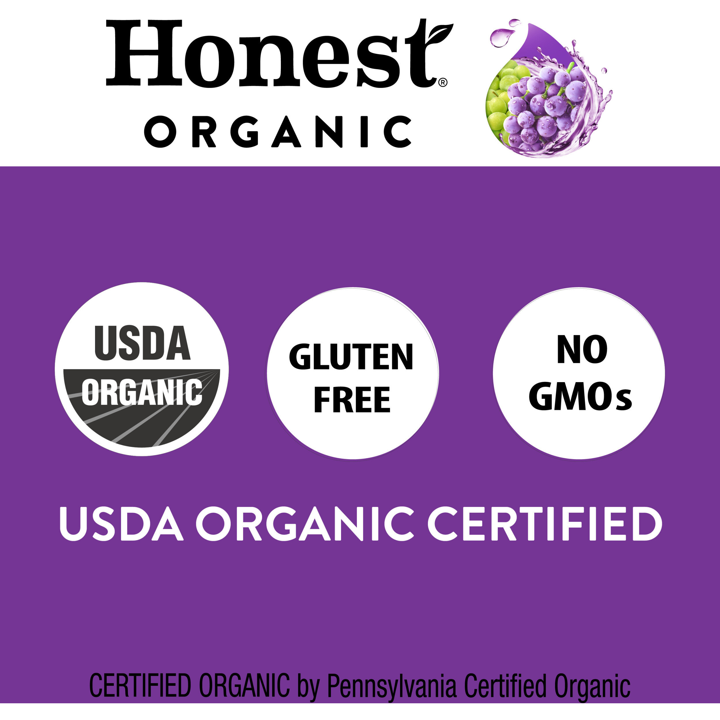 Honest Kids Organic Goodness Grapeness Grape Fruit Juice, 6.75 fl oz, 8 Pouches