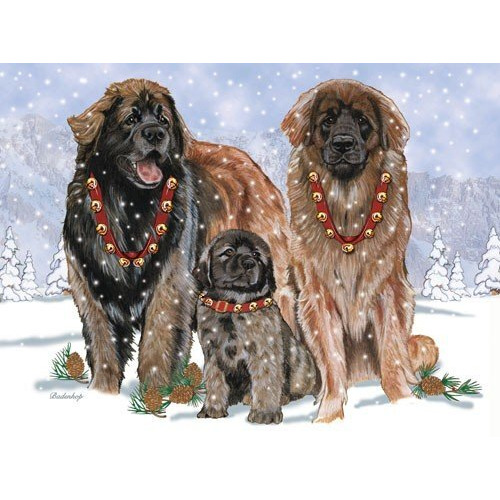 Pipsqueak Productions C724 Leonberger Christmas Boxed Cards - Pack of 10