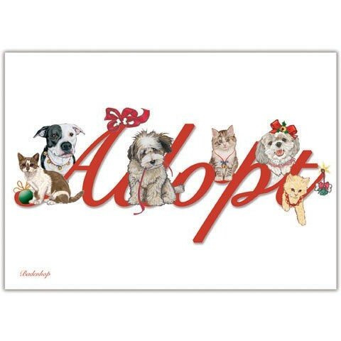 Pipsqueak Productions C589 Adopt Mix Dog with Cat Christmas Boxed Cards - Pack of 10