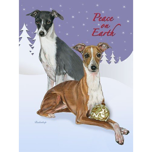 Pipsqueak Productions C599 Italian Greyhound Christmas Boxed Cards - Pack of 10