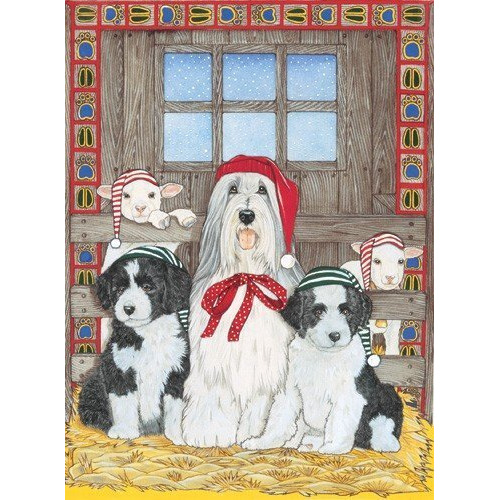 212 Main Holiday Boxed Cards- Bearded Collie