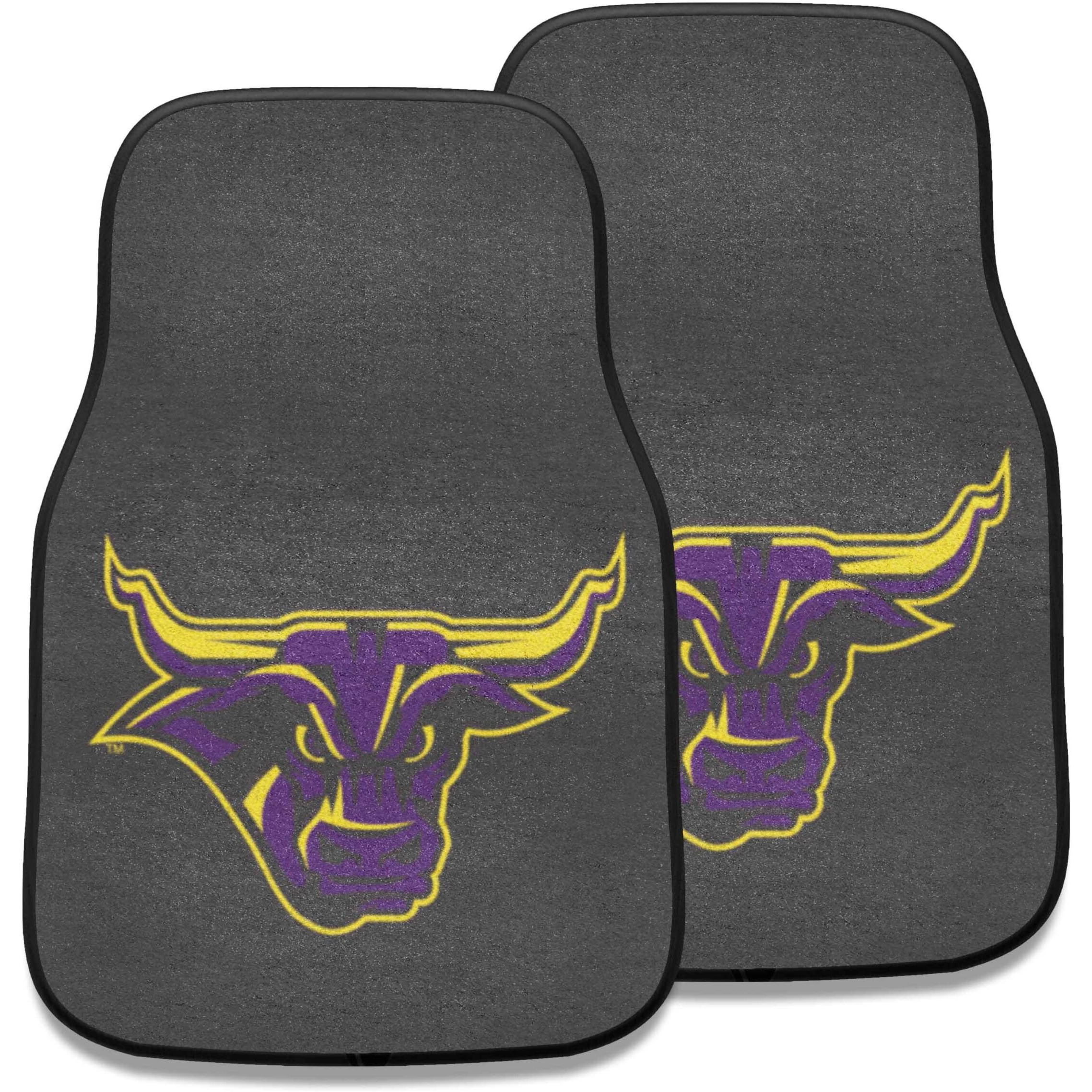 FANMATS 5274 Minnesota State - Mankato Mavericks Front 2-Piece Team Logo Carpet Car Mat Set, Front Row Automotive Floor Mats, Non-Slip Backing, Team Colors