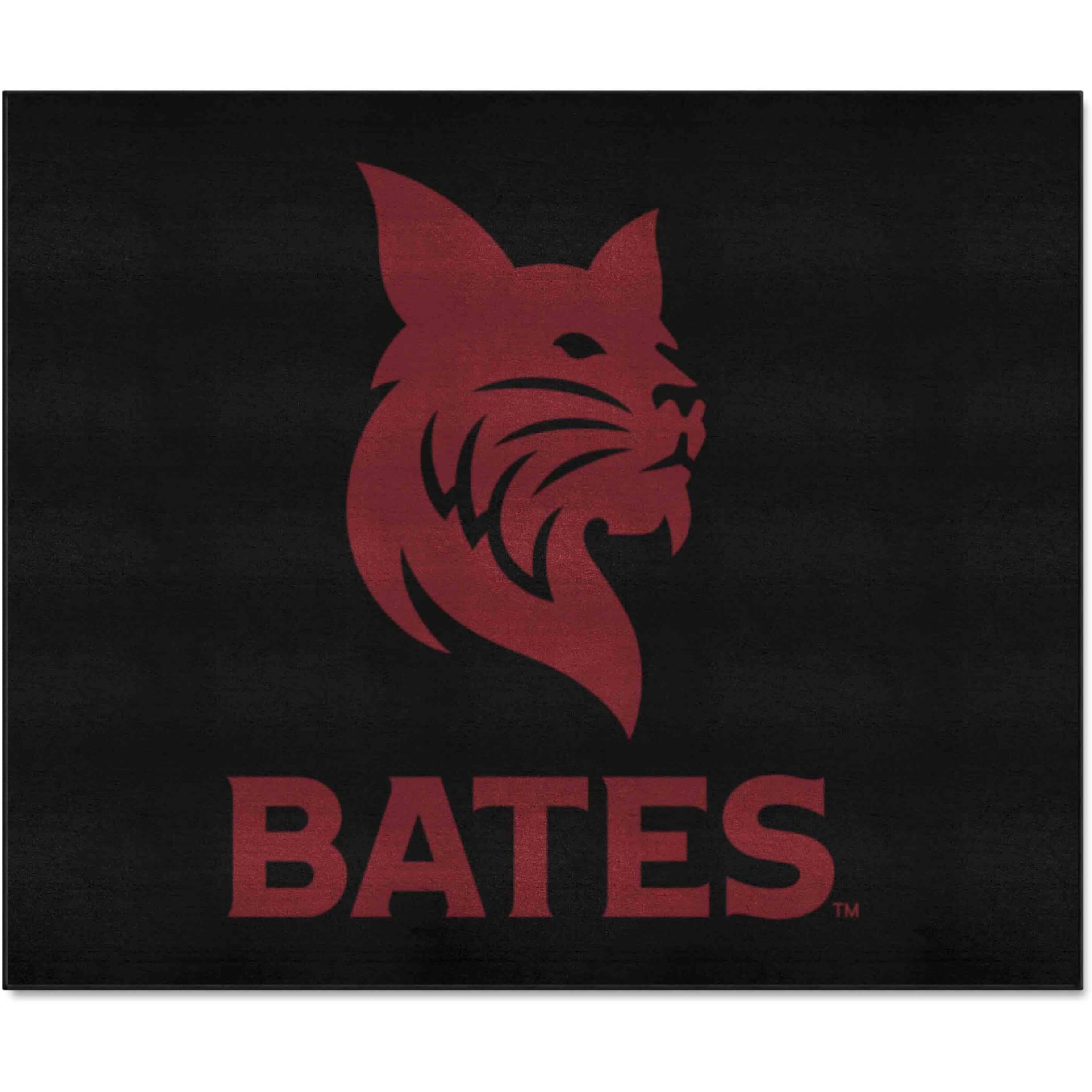 FANMATS 21431 Team Color Bates College Tailgater Rug - 5ft. x 6ft