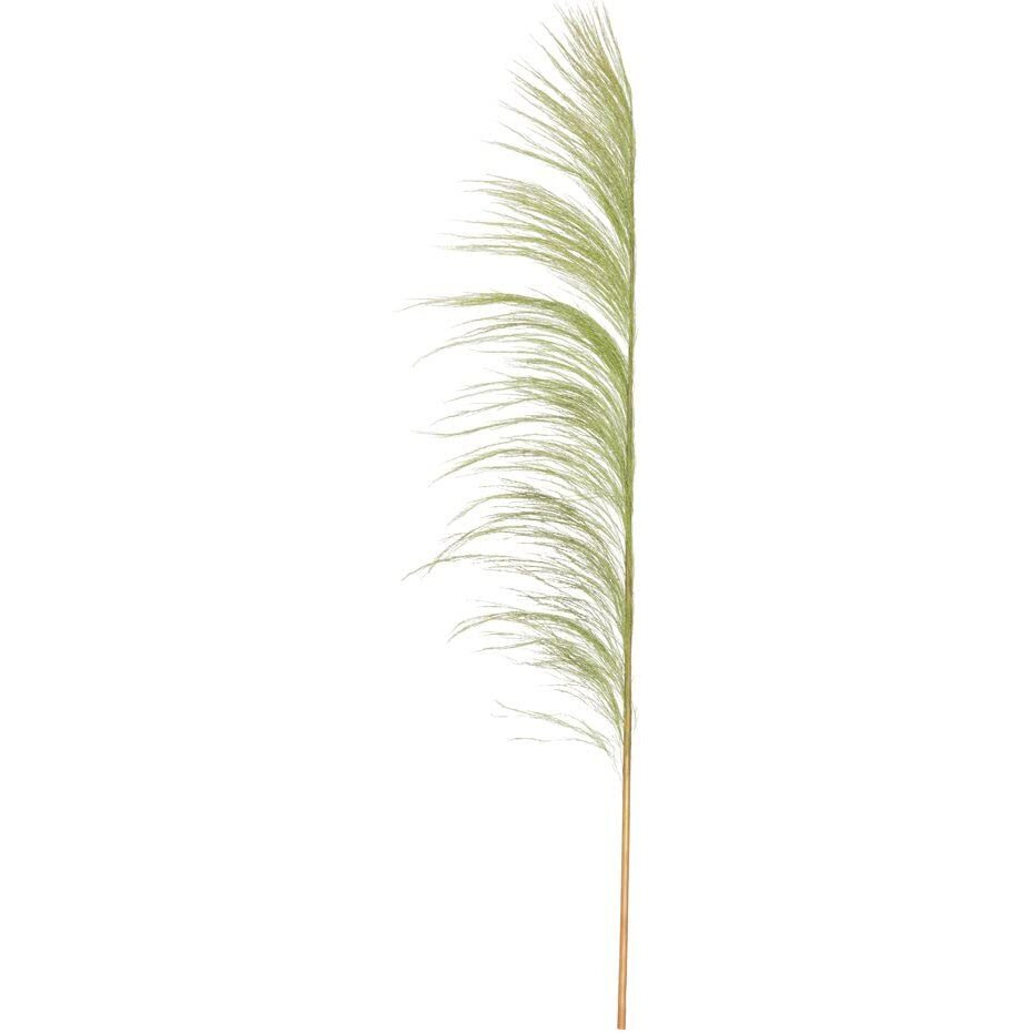 Vickerman 688090-60-72  Basil Uva Palm Spray 10/Bunch (H2UVA105) Dried and Preserved Palms