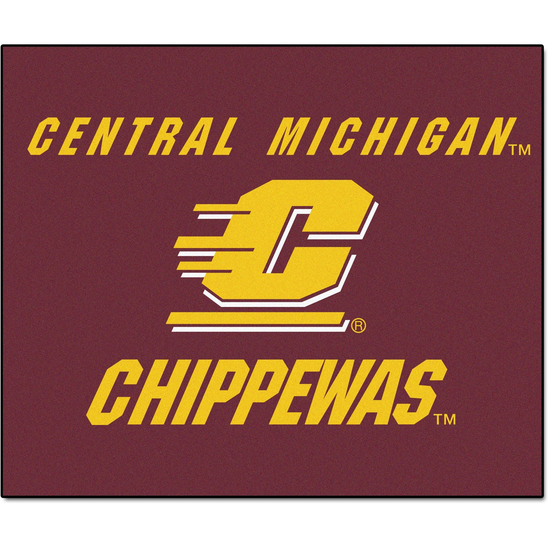 FANMATS Central Michigan Tailgater Rug 5'x6'