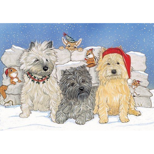 Pipsqueak Productions C933 Holiday Boxed Cards- Cairn Terrier