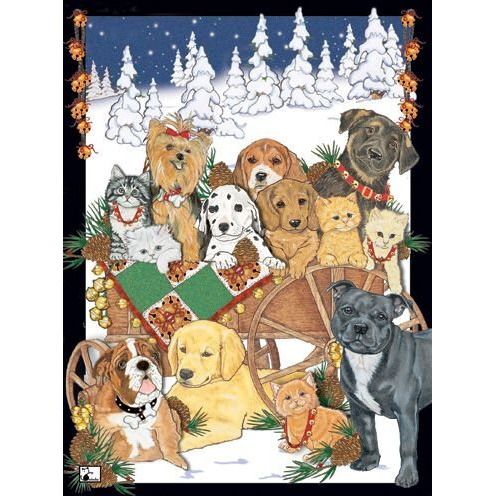 Pipsqueak Productions C515 Mix Dog With Cat Holiday Boxed Cards