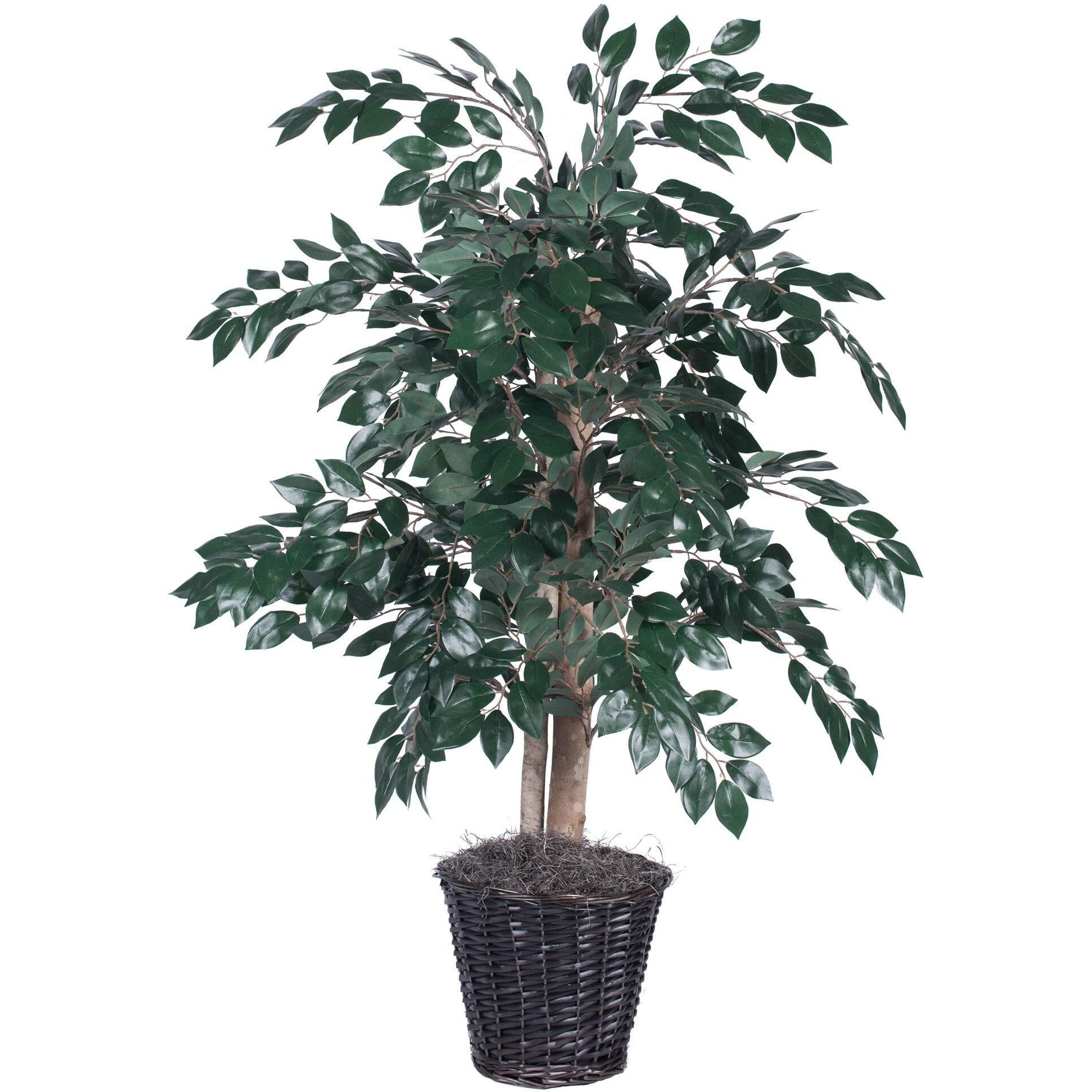 Vickerman TBU0740 Everyday Sakaki Bush, Green Dark, 4'