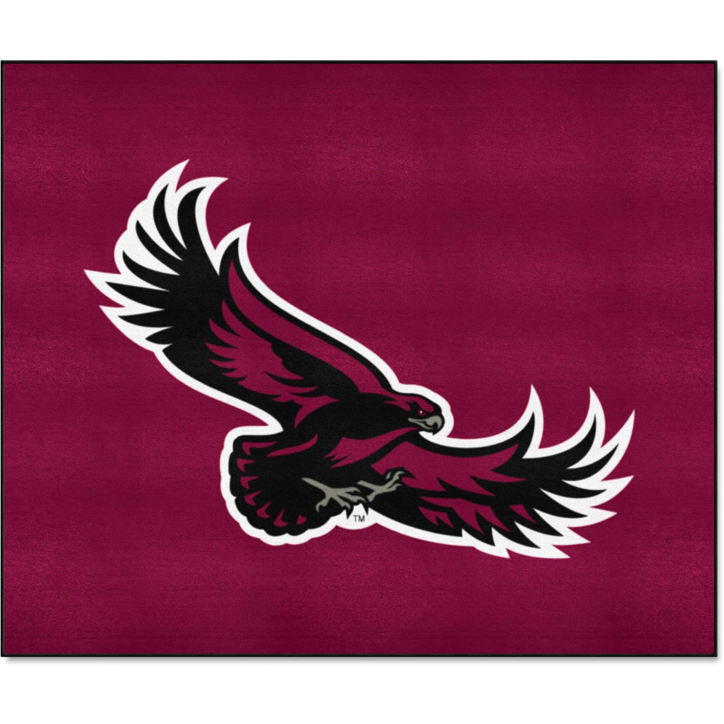 FANMATS 1147 St. Joseph's Red Storm Tailgater Rug - 5ft. x 6ft. Sports Fan Area Rug, Home Decor Rug and Tailgating Mat