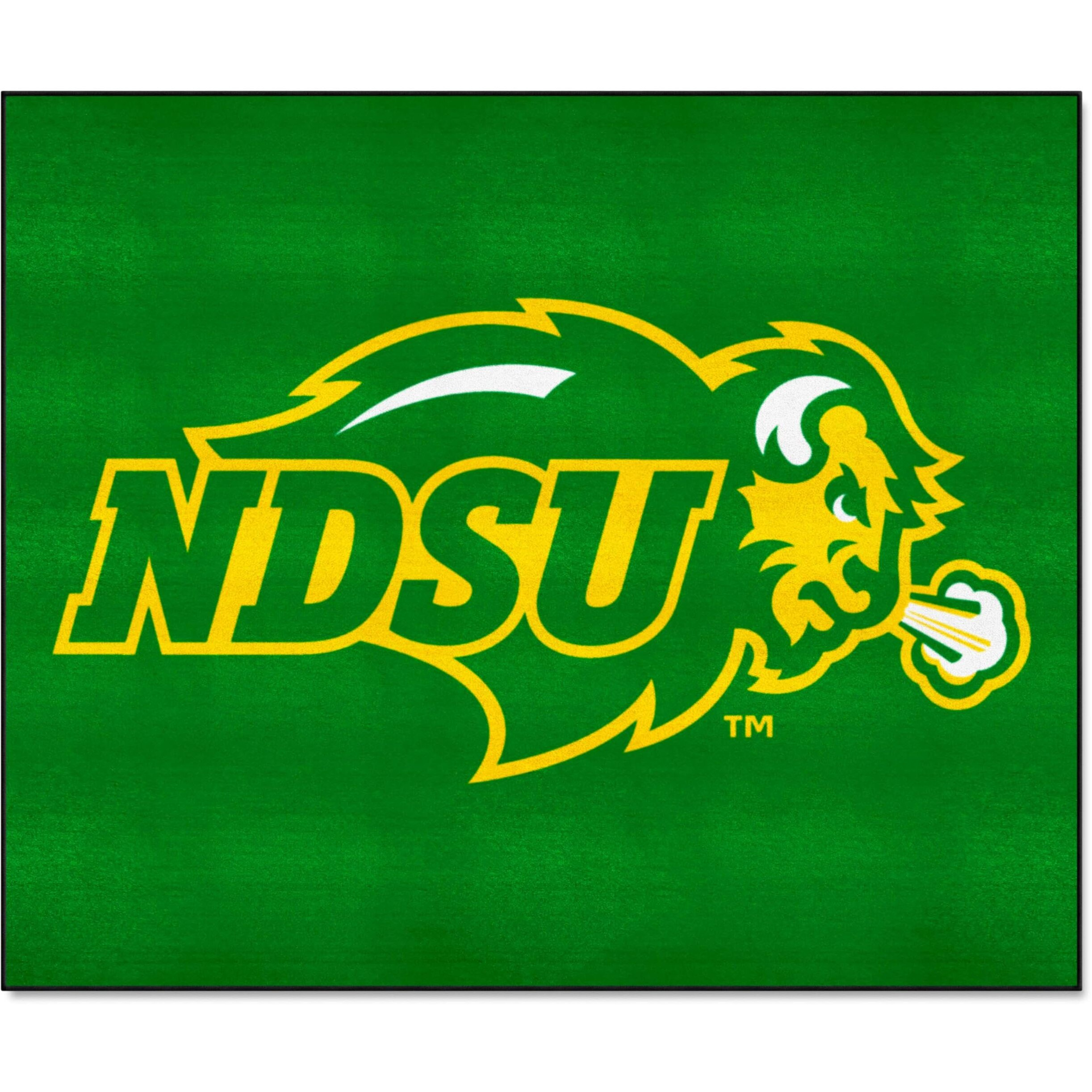 FANMATS 144 North Dakota State Bison Tailgater Rug - 5ft. x 6ft. Sports Fan Area Rug, Home Decor Rug and Tailgating Mat